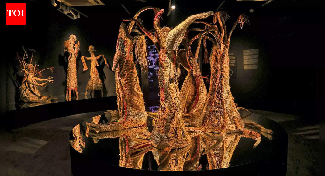 Australian Aboriginal saga opens at Humayun’s Tomb Museum