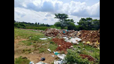 Bogadi lake faces neglect, locals appeal to civic body to save it