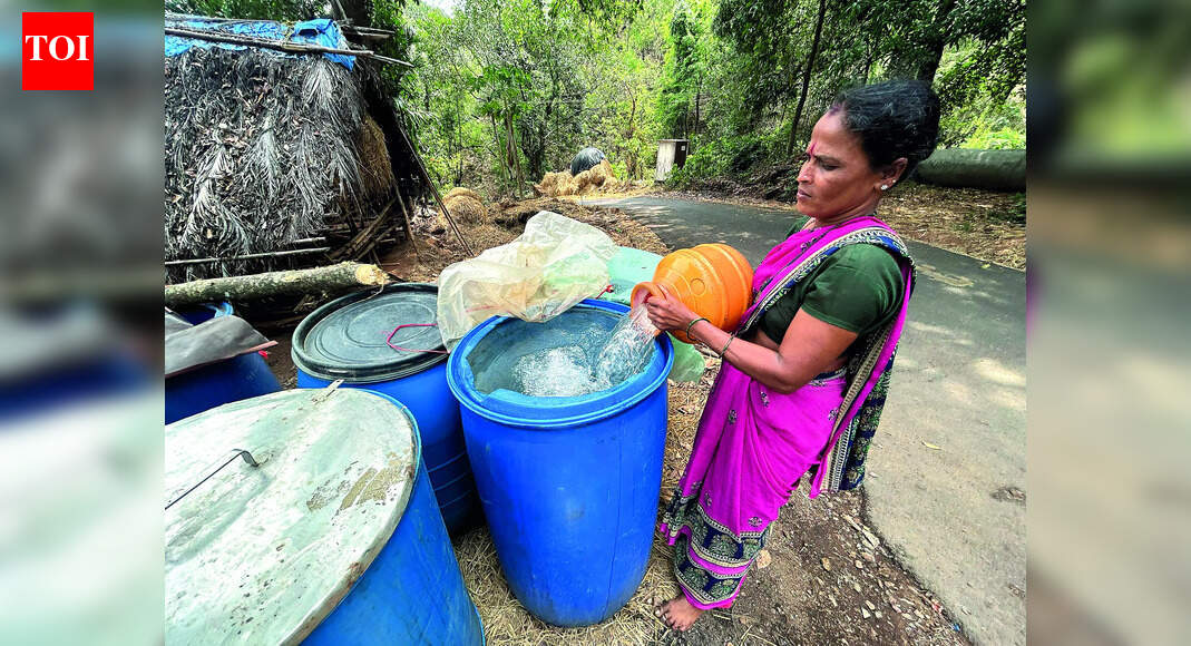 Will meet water requirements of 2047 by Dec 2026: Minister