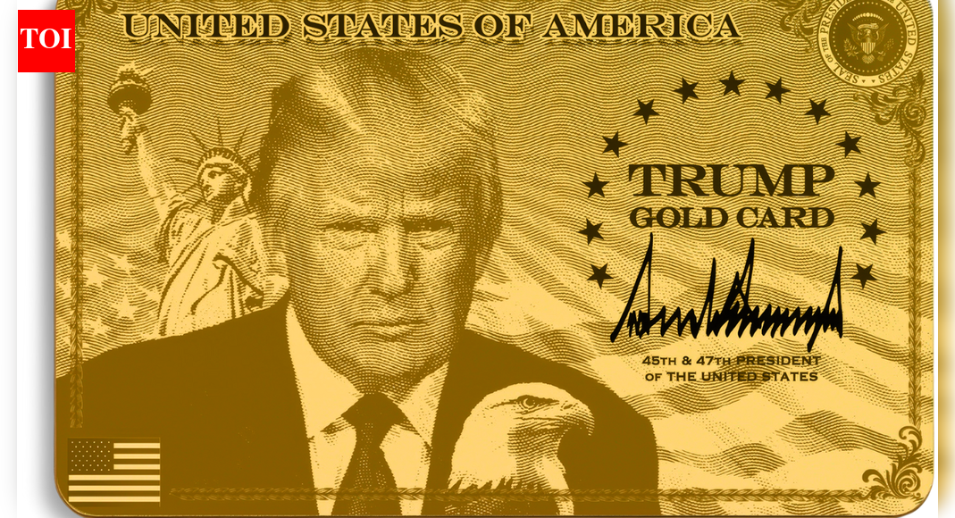 Trump Gold Card: ,000 application fee to buy US residency for  million, draft petition ready ahead of December 18 deadline