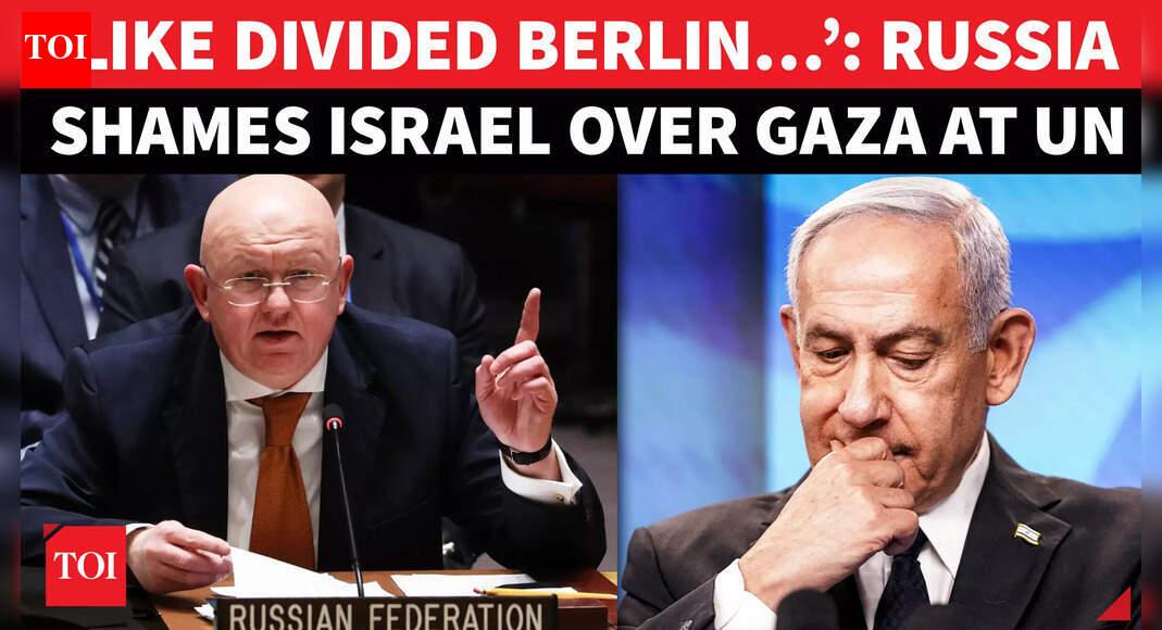 Russian Envoy Warns Israel At UN Over Gaza Ceasefire, Makes Shocking Allegation | Watch