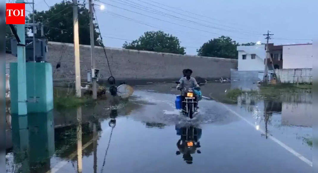 Tamil Nadu braces for Cyclone Senyar: Are schools shut on Nov 25? Heavy rain forecast for Nov 28–30