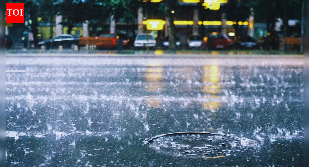 IMD forecasts heavy rainfall, thunderstorms and dense fog across multiple regions; what it means for travellers