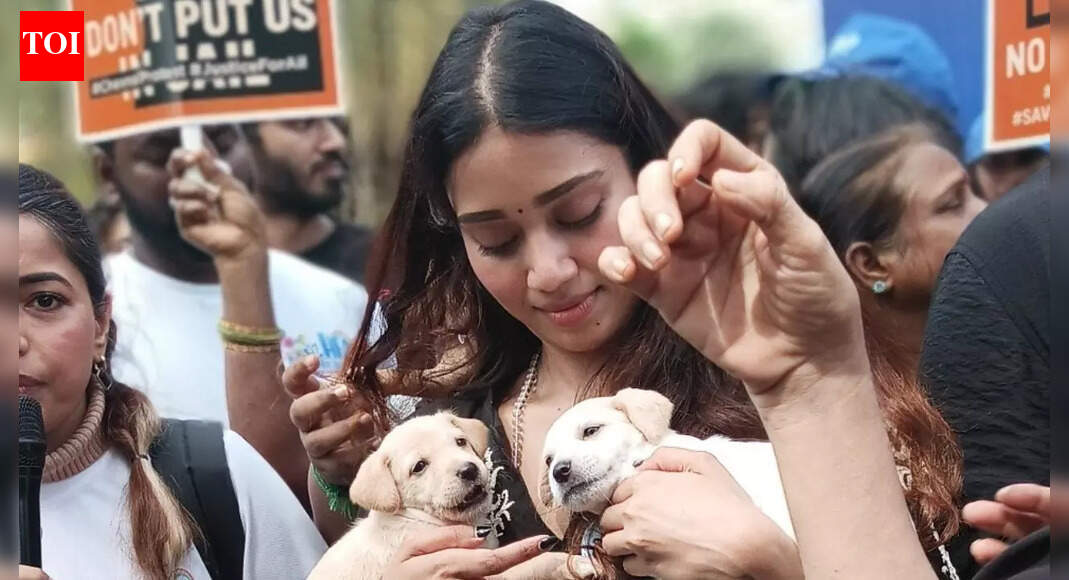 Netizens snap at Nivetha Pethuraj over “fear-mongering” remark about strays