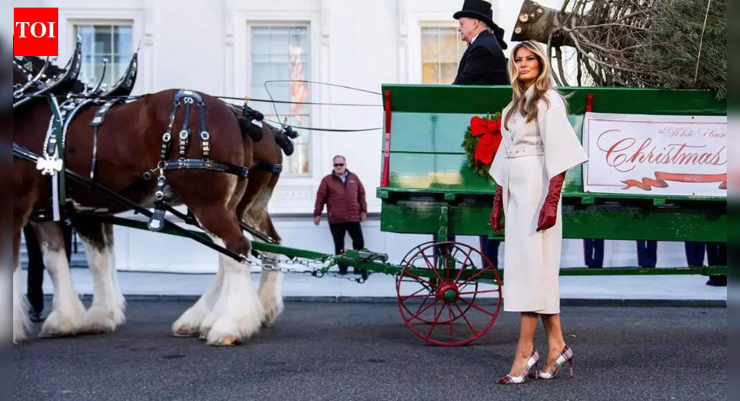 Watch: Melania Trump receives 2025 White House Christmas Tree; ‘Michigan concolor fir’ arrives in horse-drawn carriage