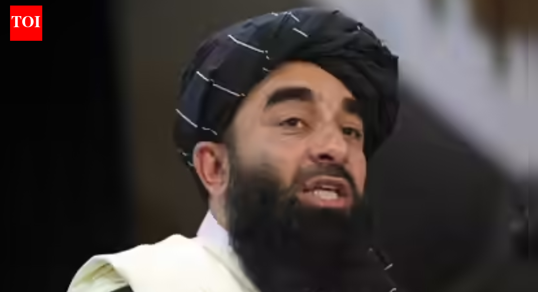 'Will respond at right time': Taliban's warning after Pakistani air strikes kill 10; vows retaliation