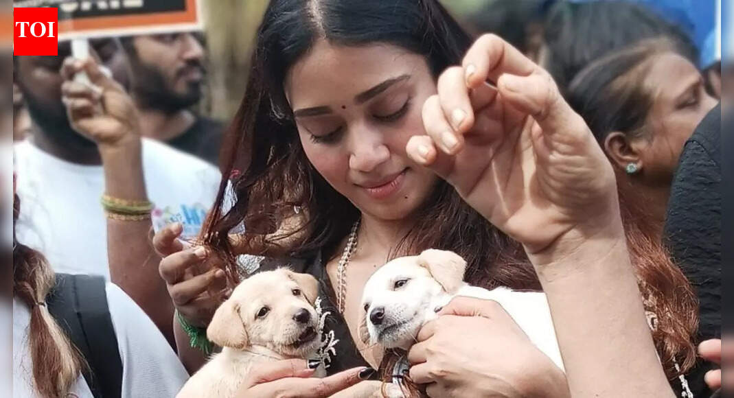 Nivetha Pethuraj’s stray dog remarks trigger outrage; netizens call her ‘Privileged’, actress hits back at social media backlash