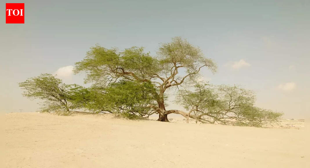 World’s loneliest living beings, and where to find them