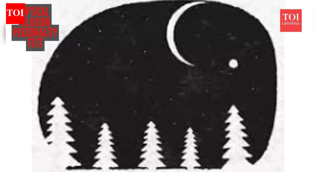 Optical illusion personality test: What you see first reveals your inner nature