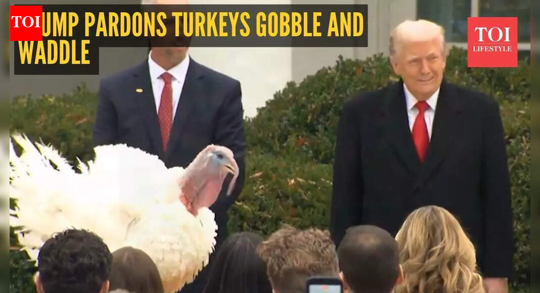 Missing turkey, fat shaming and Biden's autopen: Inside White House's chaotic annual Thanksgiving turkey pardon