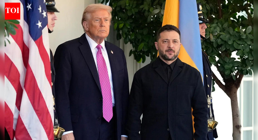 Zelenskyy backs peace plan, 'will talk to Trump on disputed points'