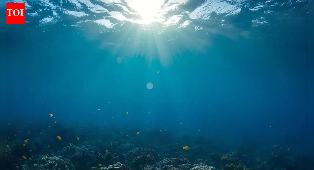 <div>Mysterious structures under the Pacific: What scientists found beneath the ocean floor could reshape Earth's history</div>