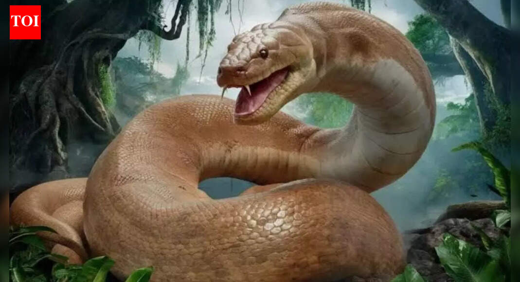 Discovering Vasuki Indicus: The Giant Prehistoric Snake of India - Article illustration from The Times of India