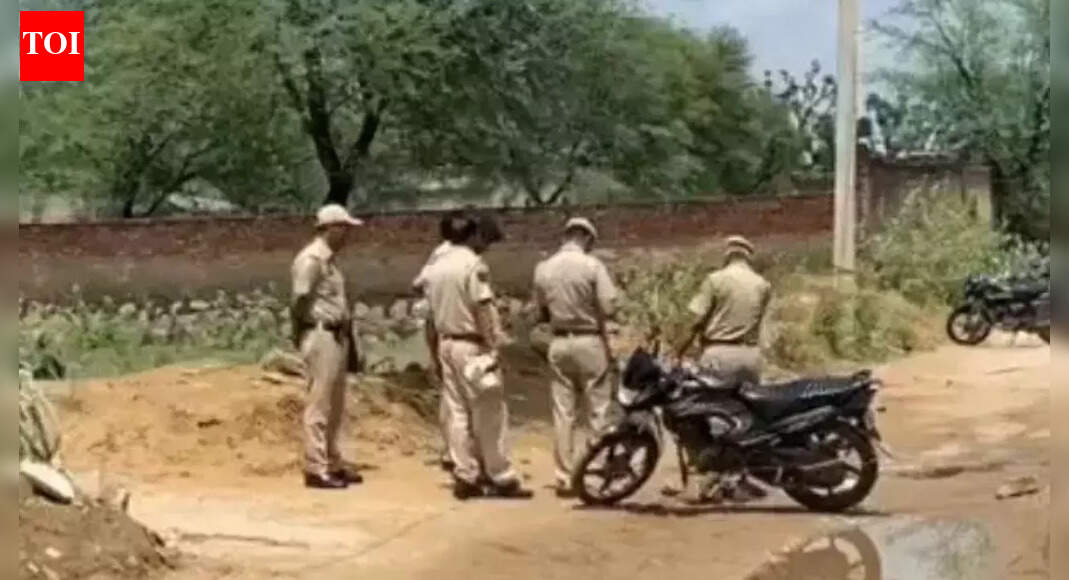 Third espionage arrest in Haryana's Nuh: Lawyer held for 'spying' for ISI