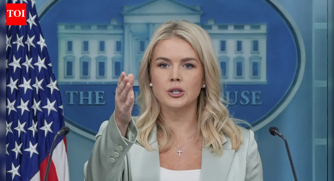 'Illegal alien from Brazil': Karoline Leavitt's relative detained by ICE; Trump admin targets visa overstays