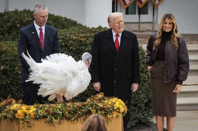 Trump salva a dos pavos de la mesa de Thanksgiving y otorga el perdón a “Waddle” y “Gobble”