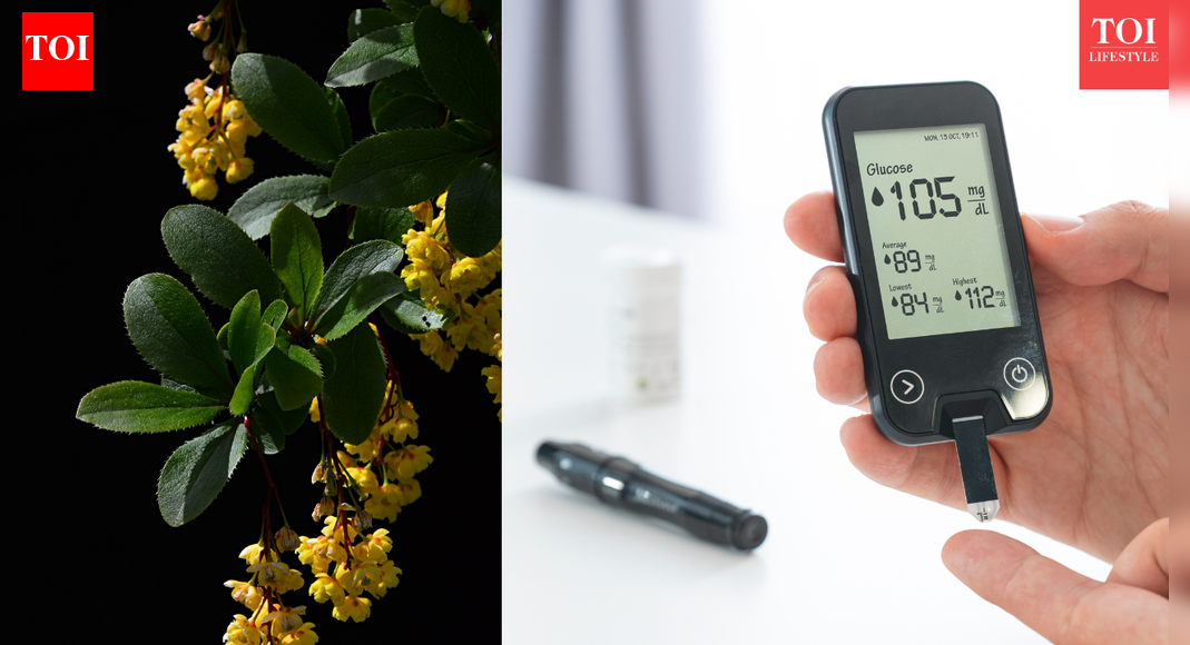 Nutrition expert suggests how to take Berberine supplements to lower blood sugar levels