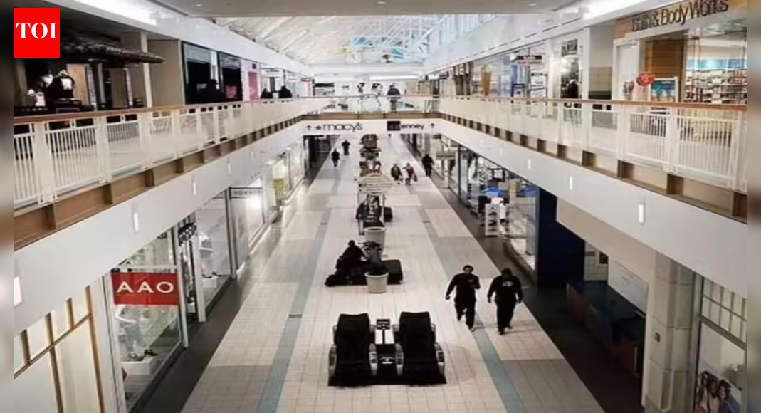 Mall owner revenues to grow 12-14% in FY26 boosted by GST cuts, low interest rates and good monsoon: Crisil