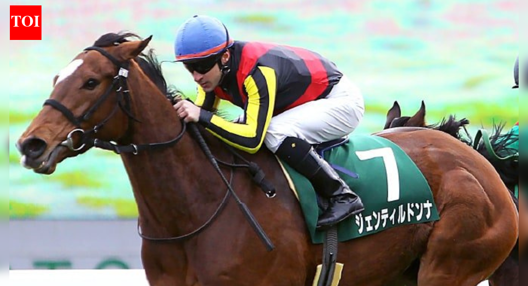 Who was Gentildonna? Japan Cup 2012 racehorse hero passes away at 16 as tributes pour in from racing world