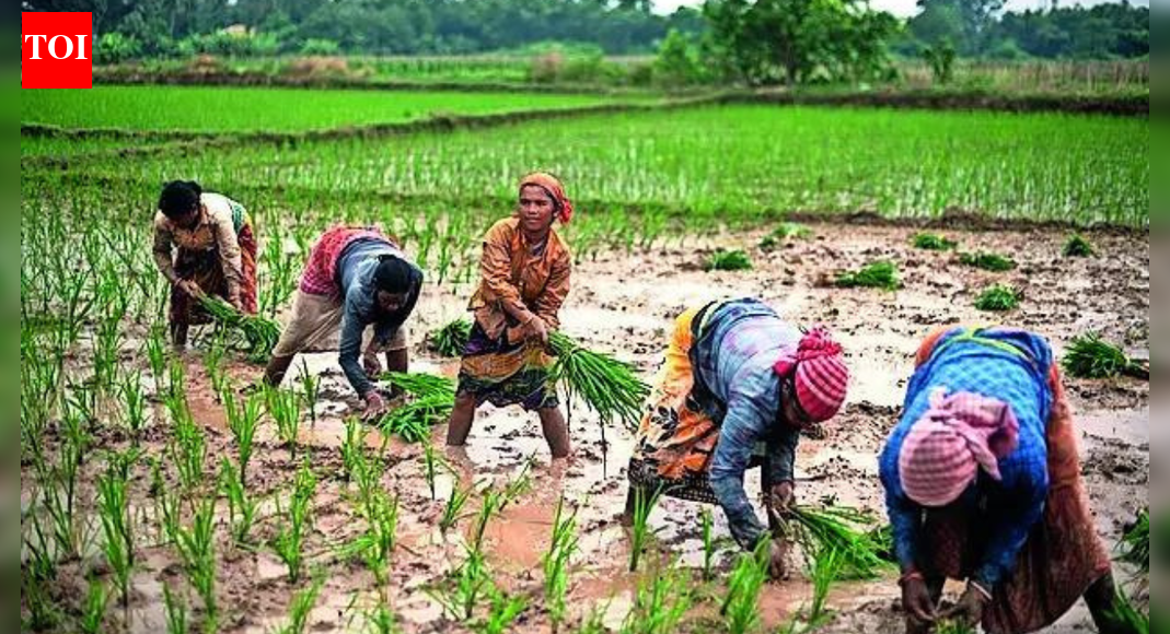 Pesticides linked to memory loss, depression in Bengal farmers, new study warns