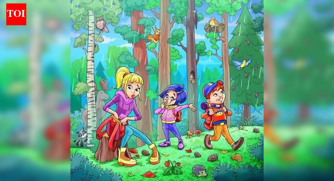 Optical illusion: Only a sharp eyed genius can spot the hidden umbrella in 7 seconds