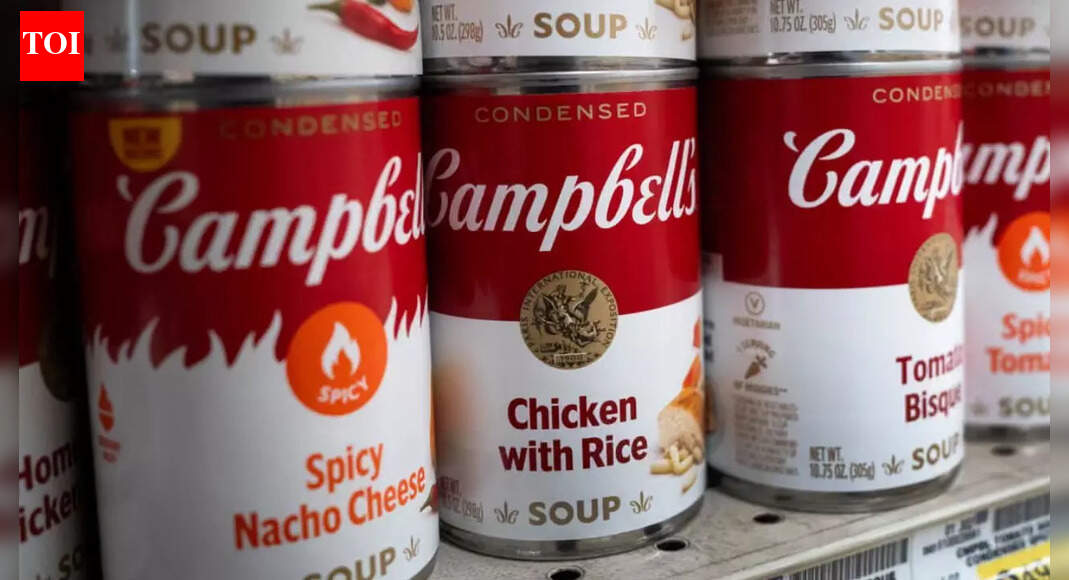<div>‘Indian employees are idiots’: American food giant Campbell's executive made offensive remarks about Indians</div>