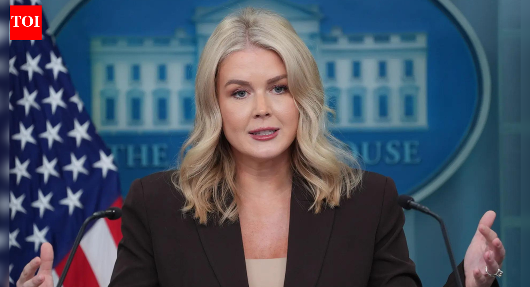 ‘Criminal illegal alien from...’: ICE agents detain woman related to White House press secretary Karoline Leavitt