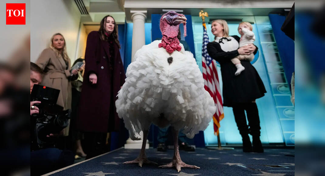 <div>Trump's pardons, Ozempic, and cheaper turkey: Unpacking Thanskgiving 2025</div>