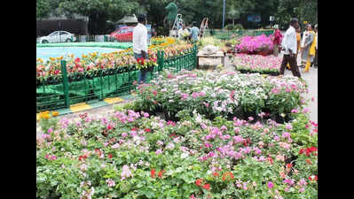 Cubbon Park to host its fourth flower show in 155 years