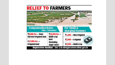 बारिश, बाढ़ से प्रभावित 12 जिलों के किसानों को मिलेगी इनपुट सब्सिडी: मंत्री