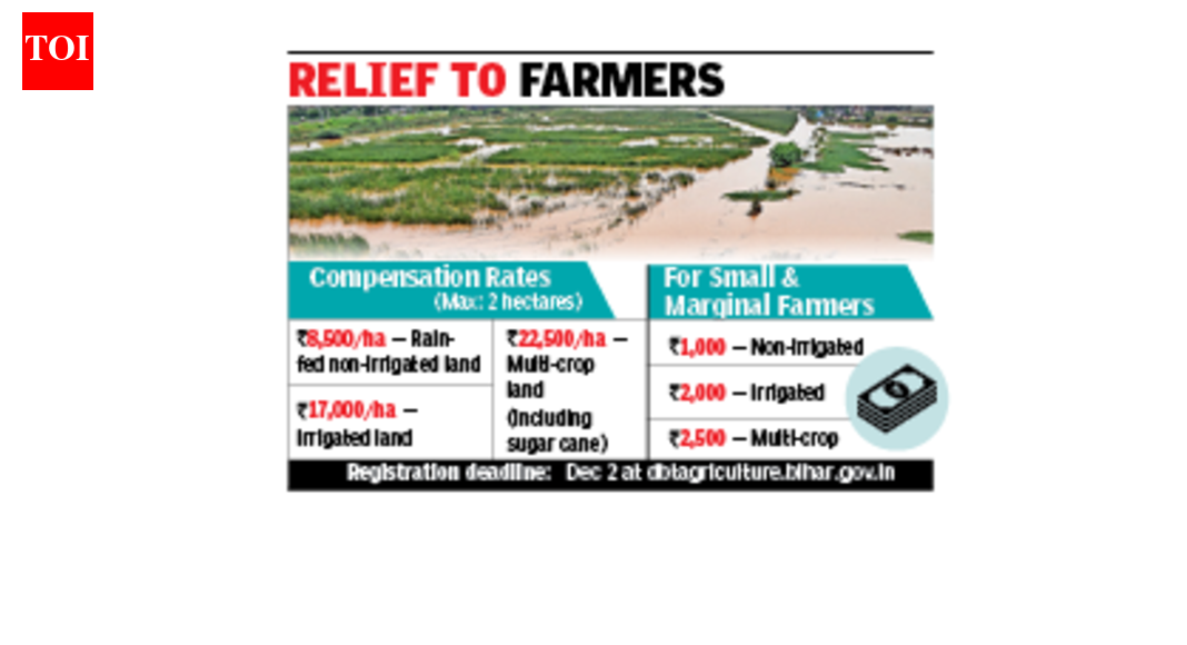 Farmers of 12 districts to get input subsidy hit by rain, flood: Minister