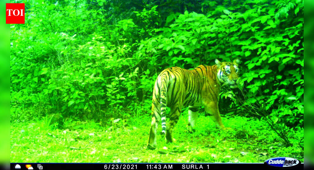 Will file tiger reserve submissions in SC: Rane