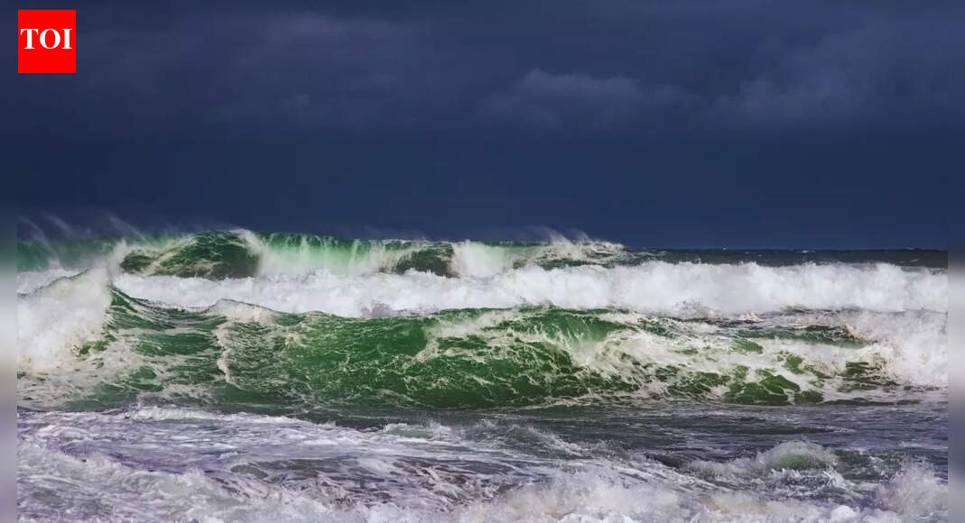 Cyclone Senyar triggers rough weather: Tamil Nadu, Andhra Pradesh and Andaman Islands on alert