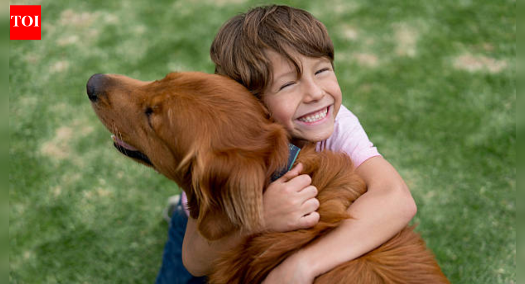 Dog breeds that are wonderfully friendly with children: Finding the paw-fect family companion