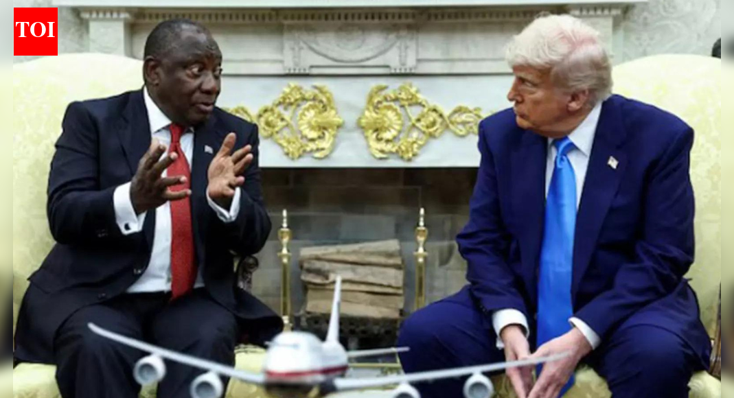 <div>'They are killing white people': Donald Trump bars South Africa from G20 in Miami; stops all US subsidies to the African nation</div>