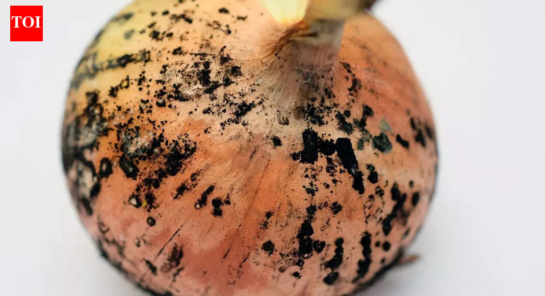 Is it safe to consume onions with black marks on them? Understanding health risks and ideal storage
