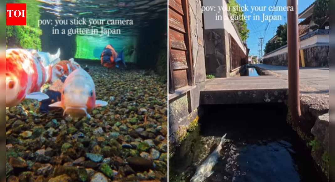 <div>Watch: Camera dipped into Japanese drain stuns viewers — netizens joke 'phir Nobita kis gutter mein girta tha?'</div>
