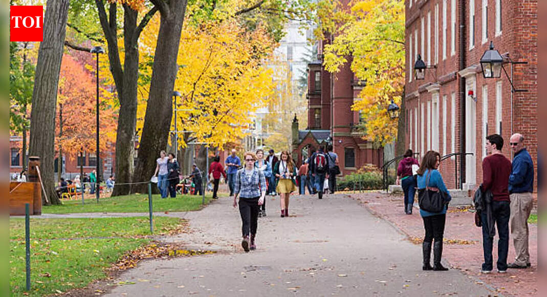 Is getting into Harvard easier than landing a job in America?