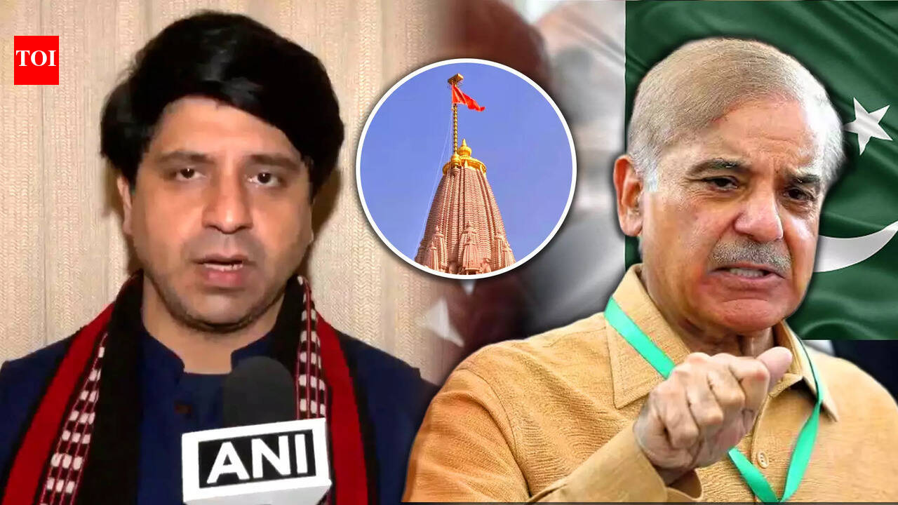 BJP Slams Pakistan Over Ram Temple Remarks, Says Lecturing India ...