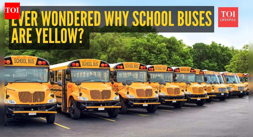 Ever wondered why school buses are yellow? Here’s the answer