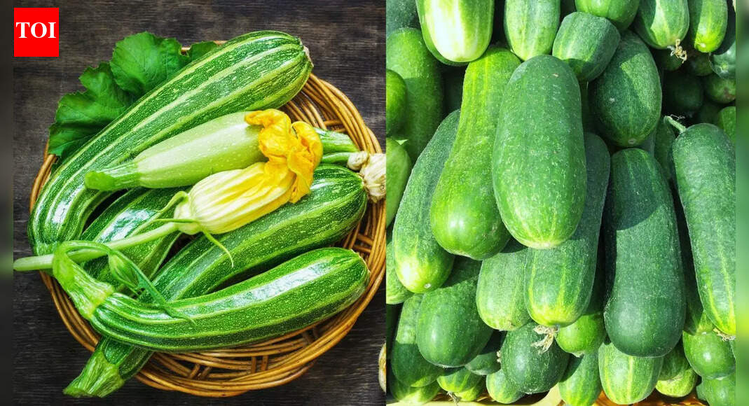 खीरा बनाम तोरी: पोषण और स्वाद में मुख्य अंतर जो आपको जानना चाहिए |
