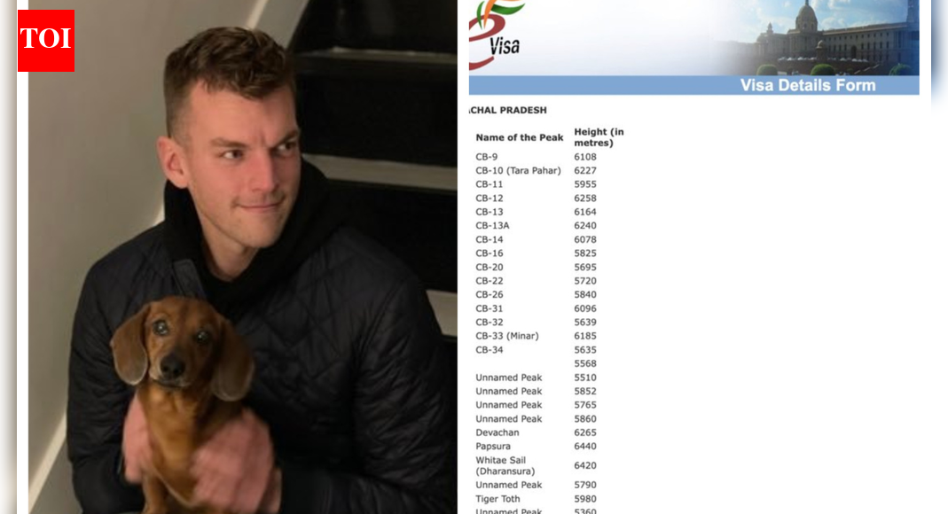 US investor slams 'comically broken' e-visa application process in India: 'If you can survive it...'