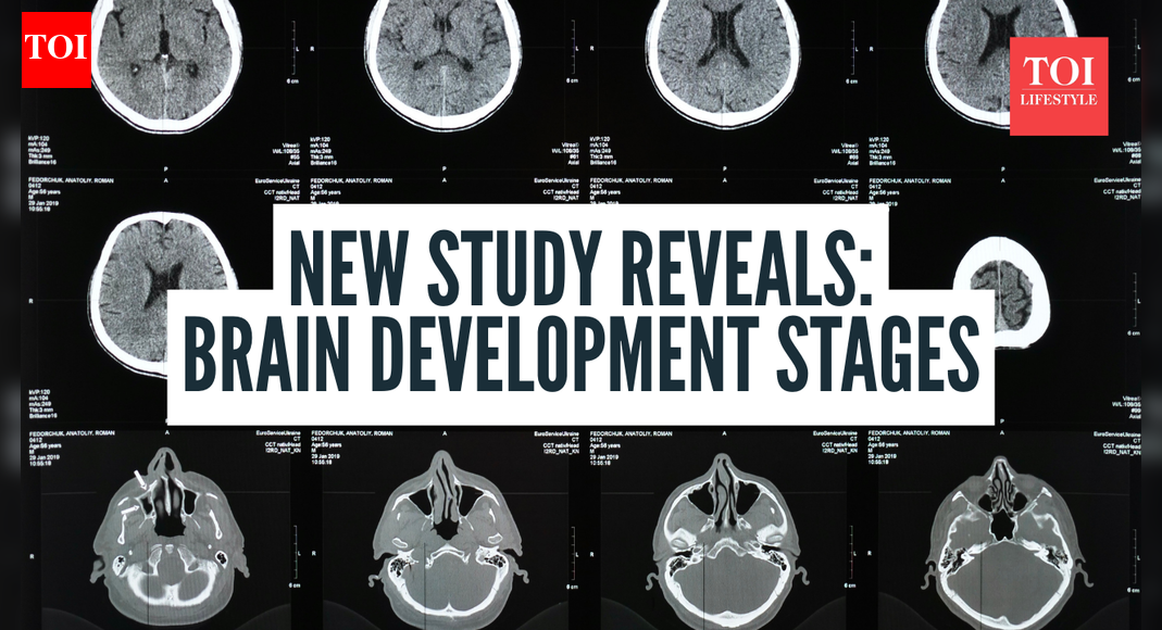 मस्तिष्क के विकास के 5 अलग-अलग “युग” होते हैं और उनमें से एक प्रमुख इस उम्र में होता है