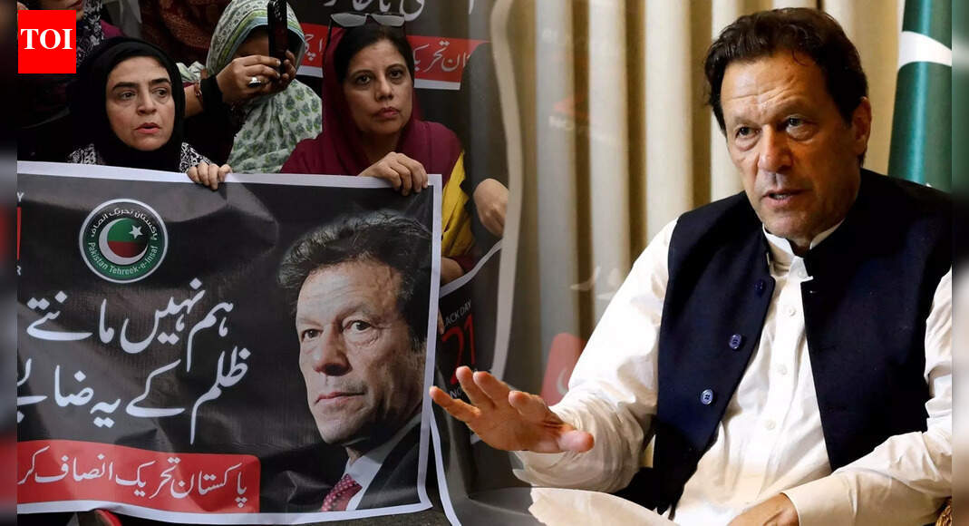 Imran Khan Health Rumour: PTI Holds Sit In Outside Adiala Jail, KP CM Sohail Afridi Stages Protest