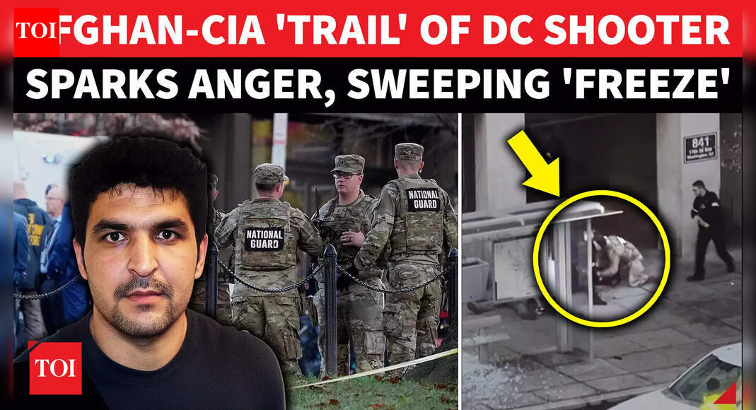 DC Shooter’s CIA-Link Sparks Trump's Afghan Immigration Freeze; Biden-Era Policy Under Lens