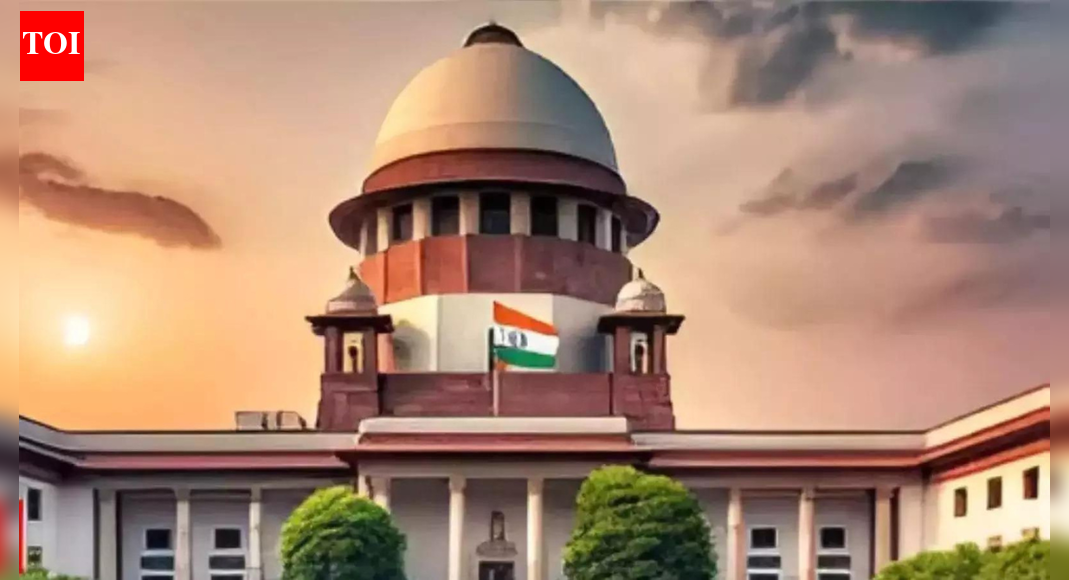 SC to govt: Consider law to curb ridiculing of disabled