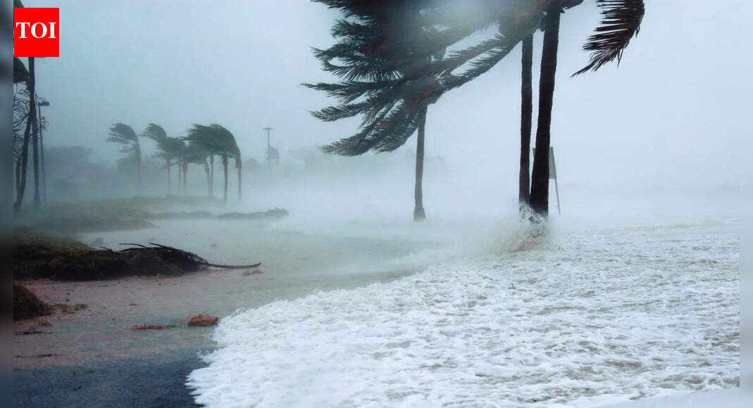 Cyclones Senyar and Ditwah triggers heavy rainfall and wind across multiple south Indian states; IMD updates