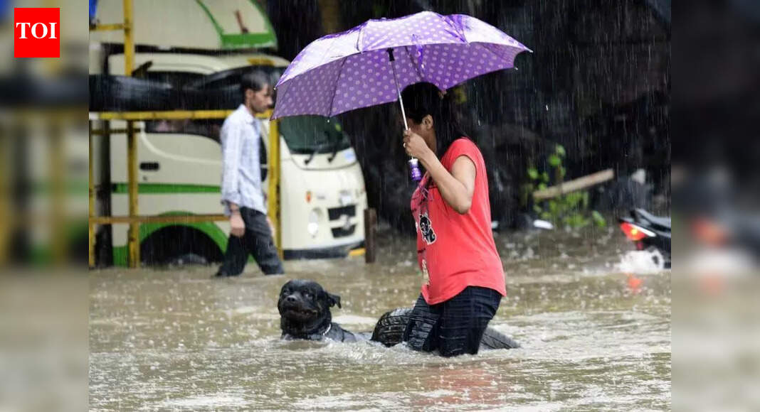 Telangana's disaster response plan must include animals'