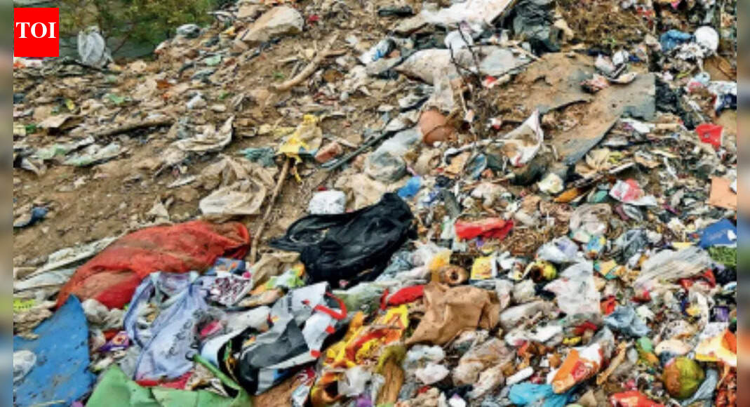 361 safai workers missing from MCG rolls, councillors flag 'ghost staff'