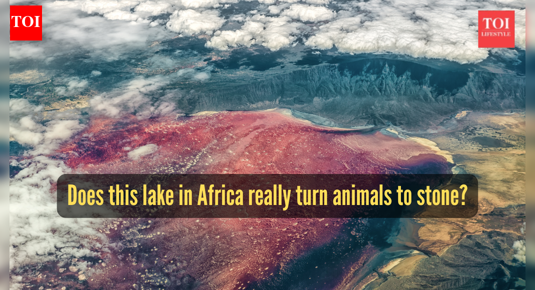 Does this lake in Africa really turn animals to stone, and how safe is it really?